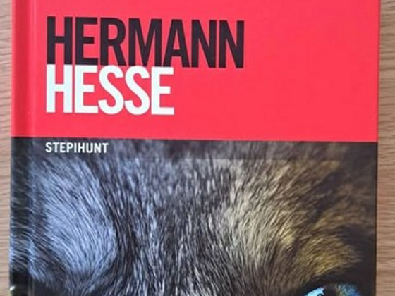 Продается книга Stepihunt