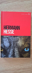 Продается книга Stepihunt (1 фото из 1)