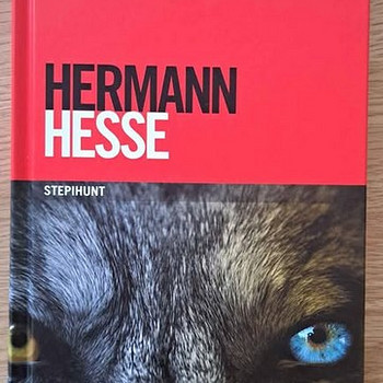Müüa raamat Stepihunt