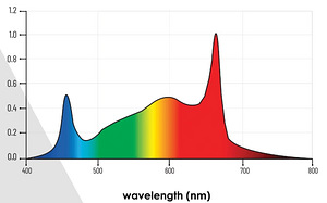 LUMATEK ZEUS 600W PRO LED 2.9 (2 foto / 8)