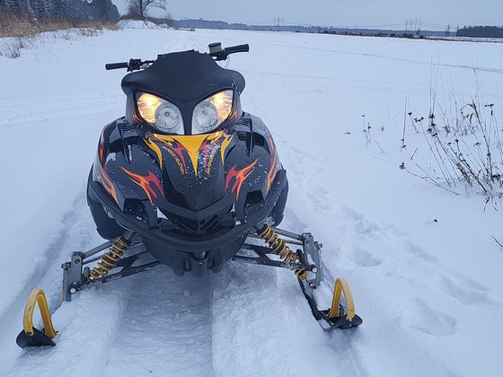Arctic Cat 500