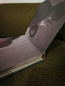 Richard Vine "Odd Nerdrum Paintings Sketches and Drawings" (10 foto / 10)