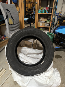 Bridgestone Turanza (1 фото из 1)