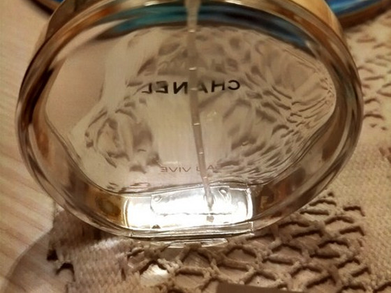Pudel. Chance Chanel-Eau Vive