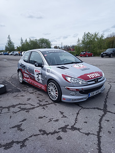 Peugeot 206 GTI (2 фото из 5)