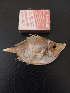 Петушиный кабан (3 фото из 3)