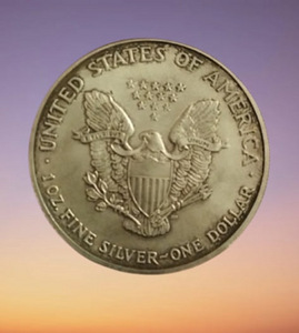 Investeerimismünt „American Silver Eagle“ 2003 (2 foto / 5)