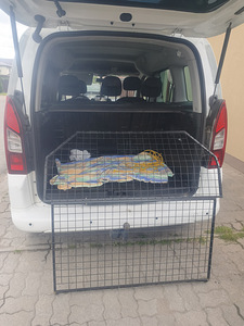 Peugeot Partner (5 foto / 8)
