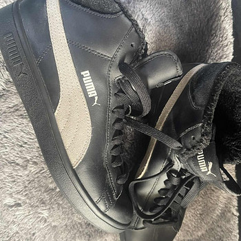 Puma tossud