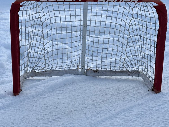 Хоккейные ворота Bauer