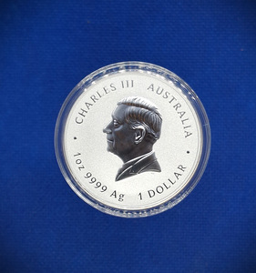 Lunar 1oz 2026 (2 foto / 3)