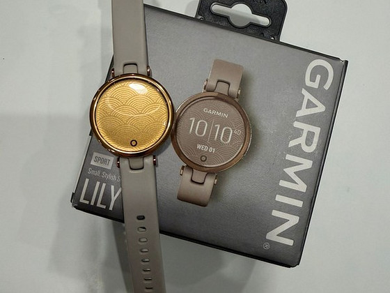Nutikell Garmin Lily Sport