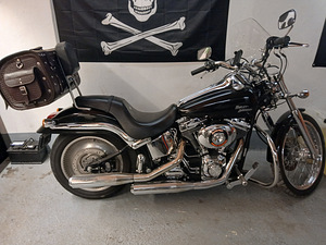Harley-davidson (3 foto / 3)