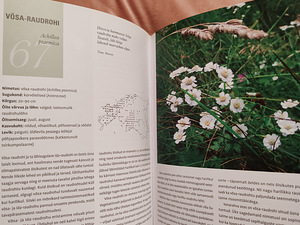 101 эстонский цветок. (3 фото из 4)