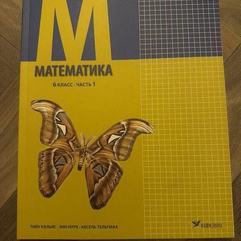 Matemaatika 6. klass