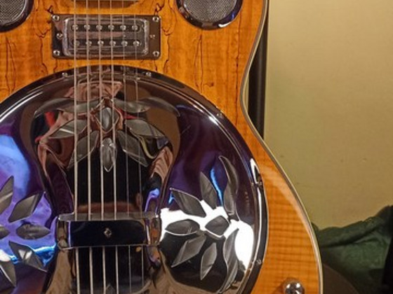 Hudson Guitars Spider Resonator kitarr - uus