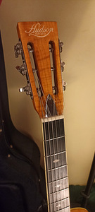 Hudson Guitars Spider Resonator kitarr - uus (2 foto / 10)