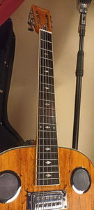 Hudson Guitars Spider Resonator kitarr - uus (6 foto / 10)