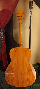 Hudson Guitars Spider Resonator kitarr - uus (8 foto / 10)