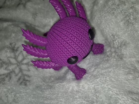 Axolotl