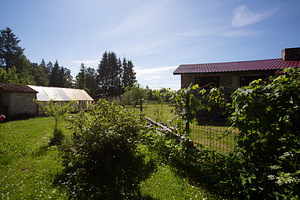 Kasemetsa tee 96, Metsanurme, Saku vald, Harjumaa (5 foto / 23)