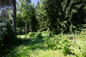 Kasemetsa tee 96, Metsanurme, Saku vald, Harjumaa (18 foto / 23)