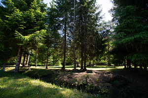 Kasemetsa tee 96, Metsanurme, Saku vald, Harjumaa (23 foto / 23)