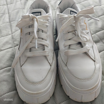 Puma 39