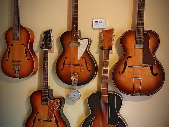 Mõni 60-70nda hollowbody archtop kitarr pakkuda