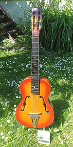 Mõni 60-70nda hollowbody archtop kitarr pakkuda (2 foto / 6)