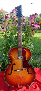 Mõni 60-70nda hollowbody archtop kitarr pakkuda (4 foto / 6)