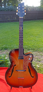 Mõni 60-70nda hollowbody archtop kitarr pakkuda (5 foto / 6)