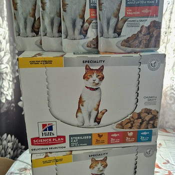 Hills cterilised cat