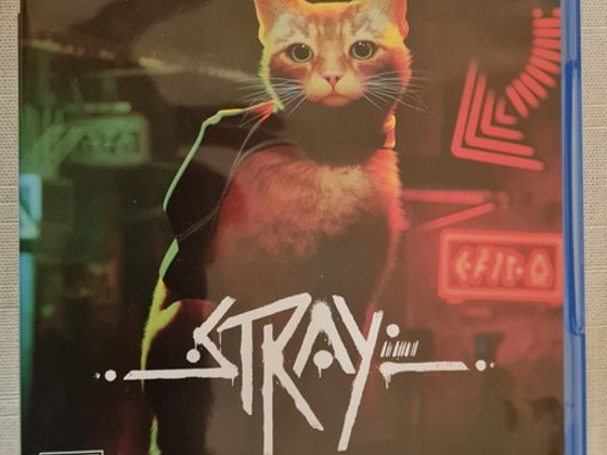 Stray PS5