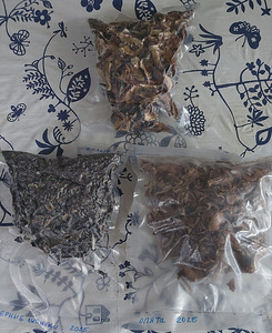 Продам сушёные грибы. (1 фото из 1)