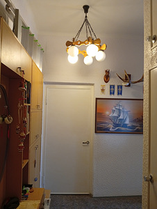 Tuuslari tn 4, Järve, Kohtla-Järve, Ida-Virumaa (5 фото из 14)