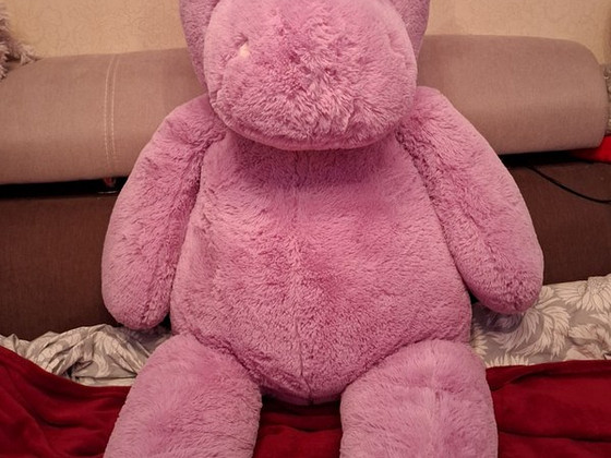 Hippopotamus
