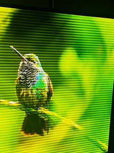 LG Electronics varuosade peale müümine (3 foto / 9)