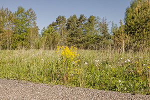 Sepametsa tee 4, Jõgisoo, Saue vald, Harjumaa (12 фото из 37)