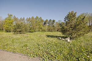 Sepametsa tee 4, Jõgisoo, Saue vald, Harjumaa (14 фото из 37)
