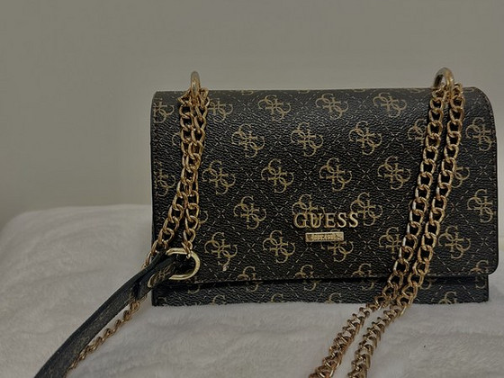 Guess kott