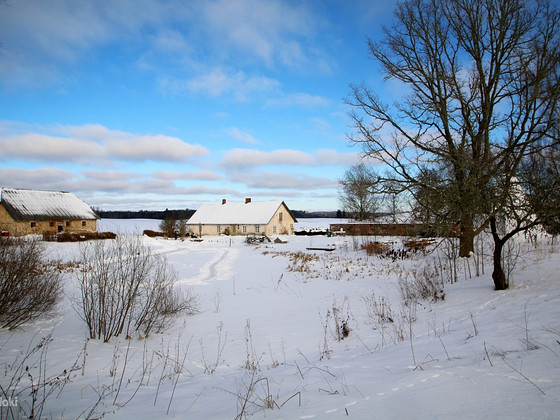 Järve, Tsirgumäe, Valga vald, Valgamaa