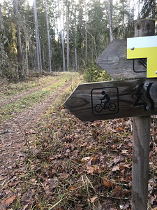 Järve, Tsirgumäe, Valga vald, Valgamaa (38 foto / 43)