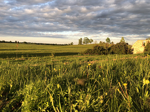 Järve, Tsirgumäe, Valga vald, Valgamaa (39 foto / 43)