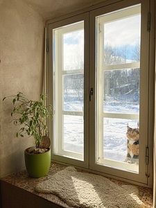 Järve, Tsirgumäe, Valga vald, Valgamaa (16 foto / 43)