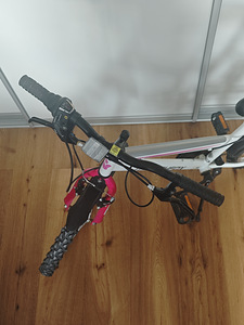 Laste jalgratas Muddyfox Synergy 20” (2 foto / 3)