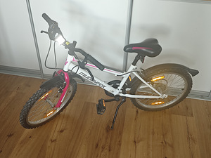 Laste jalgratas Muddyfox Synergy 20” (1 foto / 3)