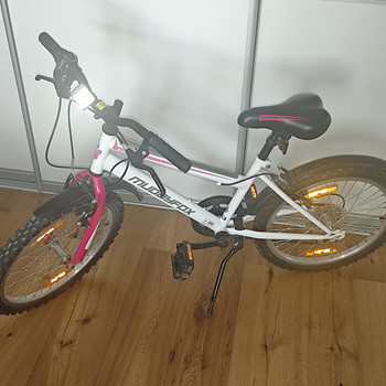 Laste jalgratas Muddyfox Synergy 20”