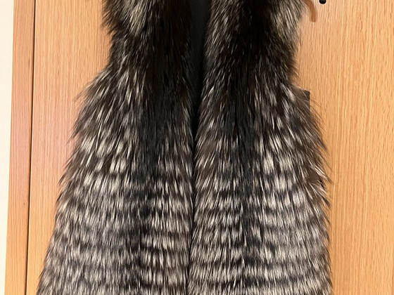 Mustarebase vest