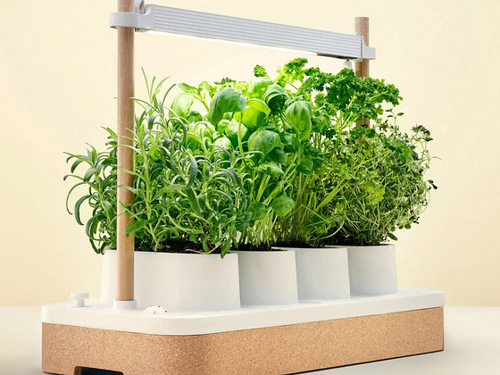 Auk Mini Smart Garden nutiaed UUS